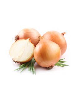 Cebola branca
